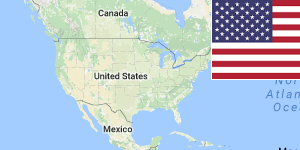 US States and Flags Generator online